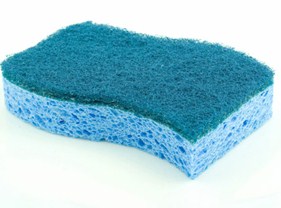 sponge