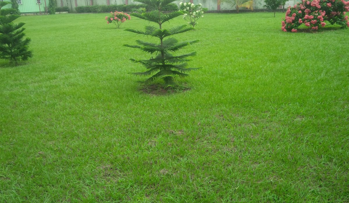 MY COUNTRY MY HOME